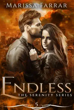 endless book cover image