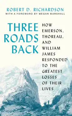 three roads back book cover image