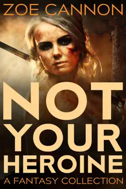 not your heroine book cover image