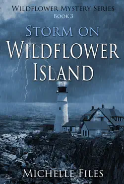 storm on wildflower island book cover image