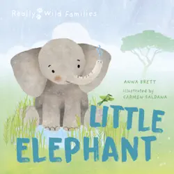 little elephant book cover image