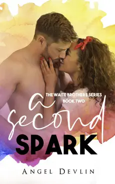 a second spark book cover image