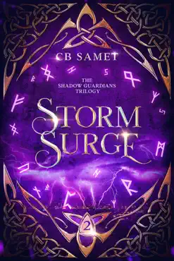 storm surge book cover image