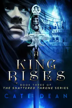 a king rises book cover image