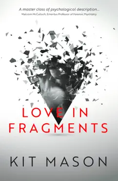 love in fragments book cover image