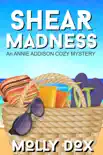 Shear Madness synopsis, comments
