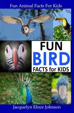 fun bird facts for kids book cover image