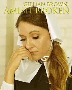 amish broken book cover image