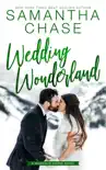 Wedding Wonderland synopsis, comments