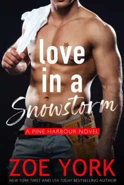 love in a snowstorm book cover image