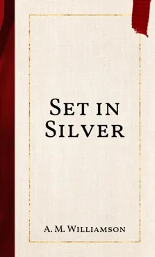 set in silver book cover image