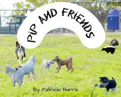 pip and friends book cover image