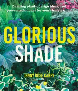 glorious shade book cover image