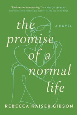 the promise of a normal life book cover image