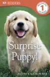 DK Readers L1: Surprise Puppy (Enhanced Edition) book summary, reviews and download