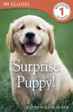 dk readers l1: surprise puppy (enhanced edition) book cover image