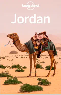 jordan 11 book cover image