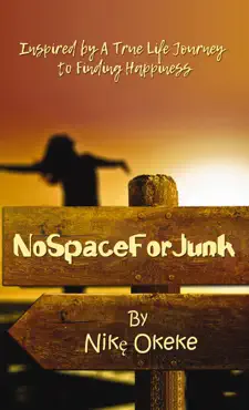 no space for junk book cover image