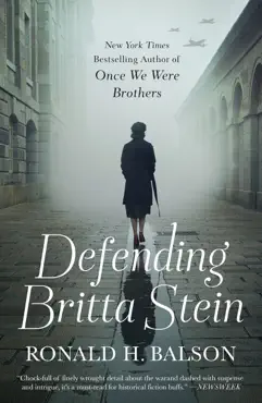 defending britta stein book cover image