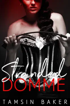 stranded domme book cover image