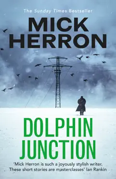 dolphin junction imagen de la portada del libro