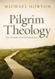 Pilgrim Theology synopsis, comments