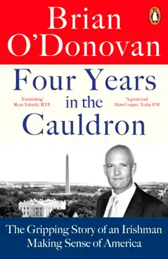 four years in the cauldron book cover image