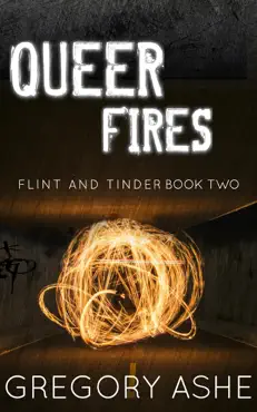 queer fires book cover image