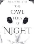 The Owl Flies at Night synopsis, comments