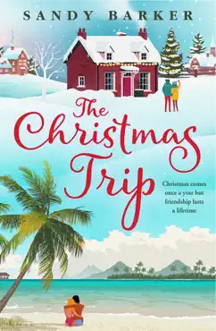 the christmas trip book cover image