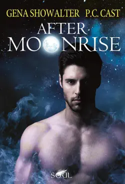 after moonrise book cover image