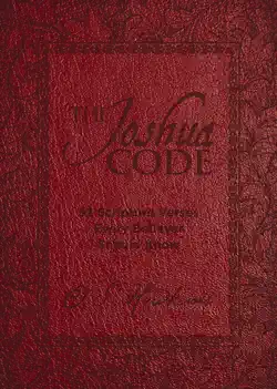 the joshua code book cover image