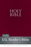 NIrV, The Holy Bible for ESL Readers synopsis, comments