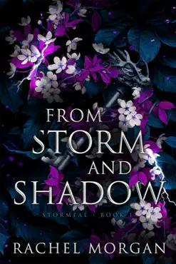 from storm and shadow book cover image