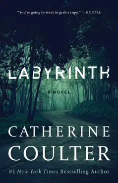 labyrinth book cover image