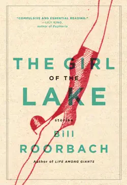 the girl of the lake book cover image