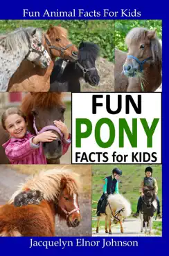 fun pony facts for kids book cover image