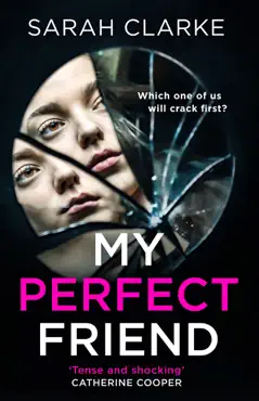 my perfect friend book cover image