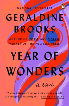 year of wonders book cover image