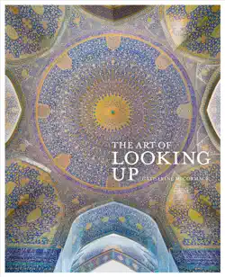the art of looking up book cover image