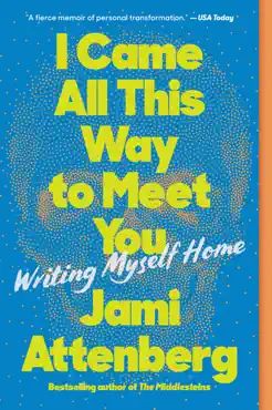 i came all this way to meet you book cover image