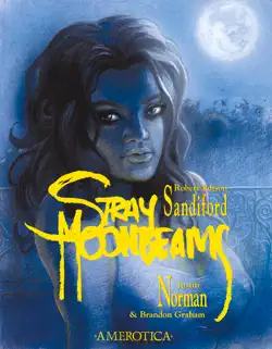 stray moonbeams book cover image