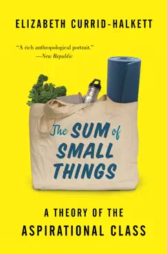 the sum of small things book cover image