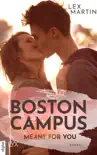 Boston Campus - Meant for You synopsis, comments