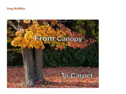 from canopy to carpet book cover image
