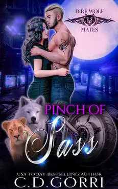 pinch of sass book cover image
