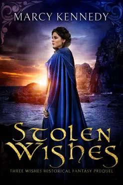 stolen wishes book cover image