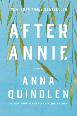 after annie book cover image