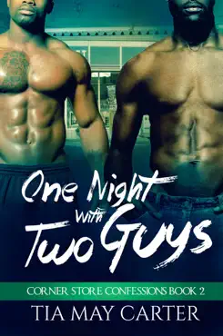 one night with two guys book cover image