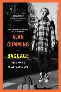 baggage book cover image